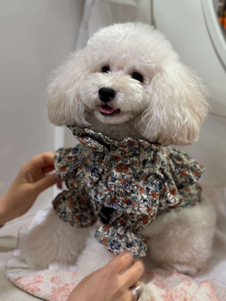 犬ワンピースイタリア製 full of vigor 犬 服 秋 冬 ドッグプレイ(R) セットアップ 風