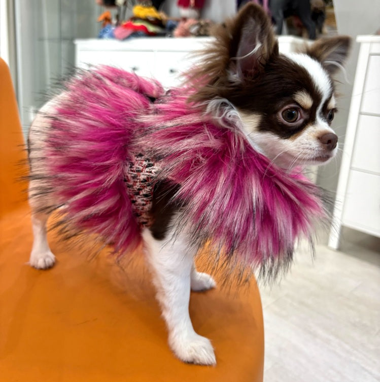 愛犬のイタリア服専門店【公式】vesticane