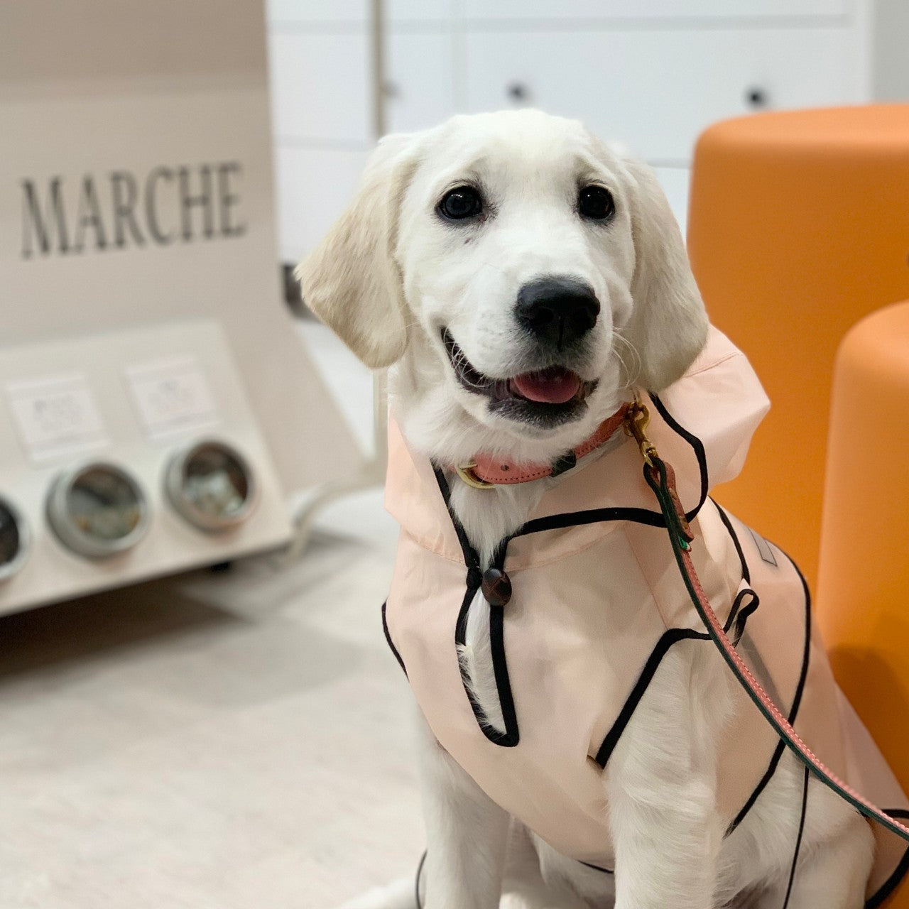 大人気！高級イタリア服vesticane ファーハーネス 愛犬のイタリア服専門店【公式】vesticane