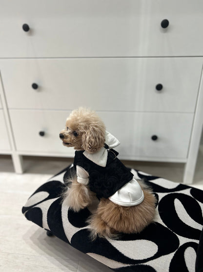 Party Harness