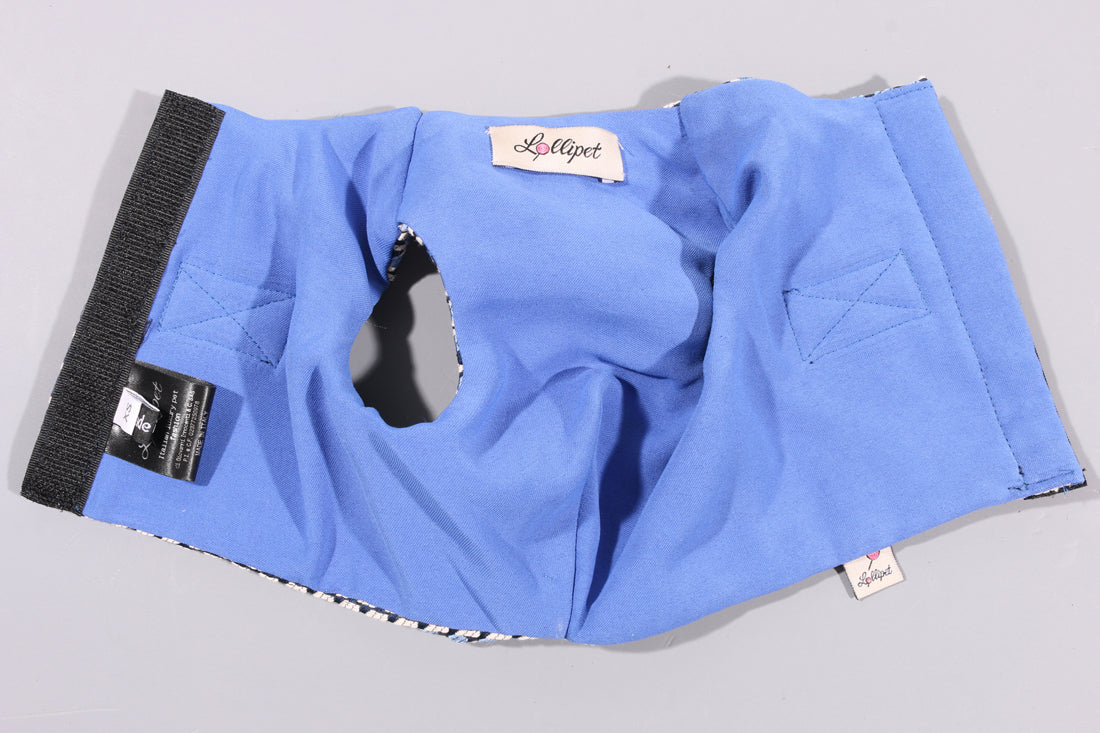 Lollipet 幾何学 ハーネス(lollipet) Classic Harness ブルーxホワイト