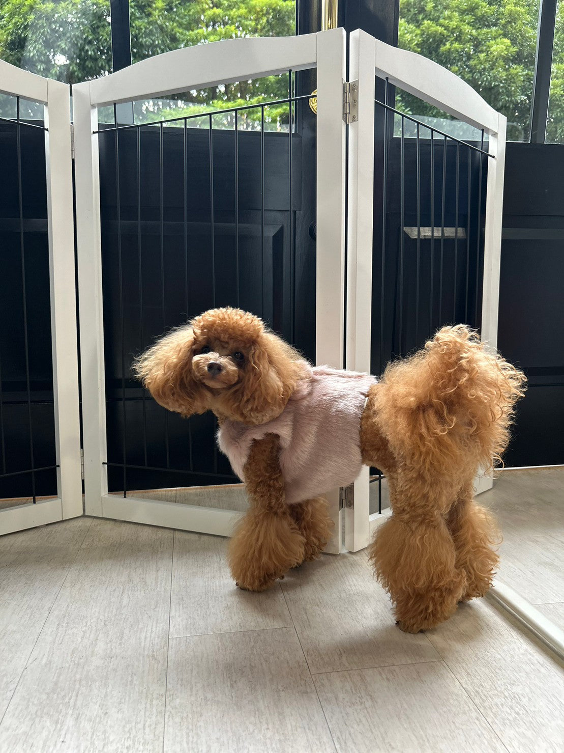 Classic Nude Harness