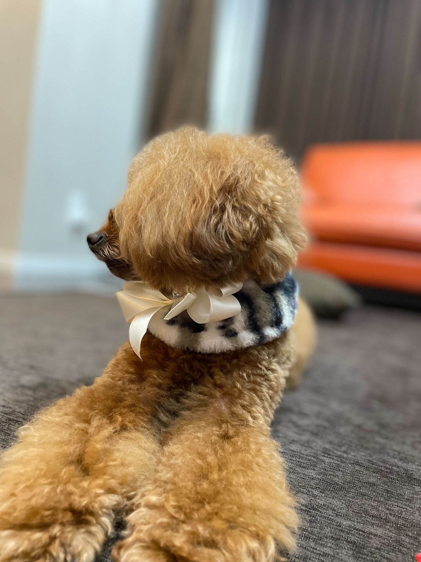 Neck Snoods
