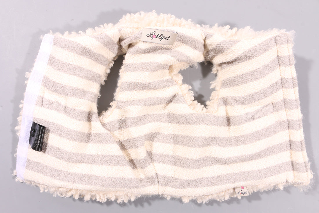 Teddy Harness