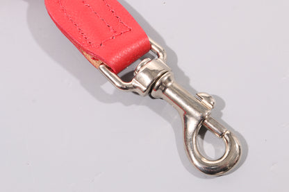lead