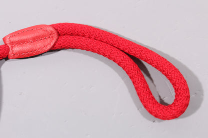 lead