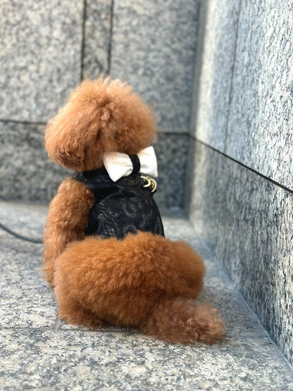 Classic Party Harness