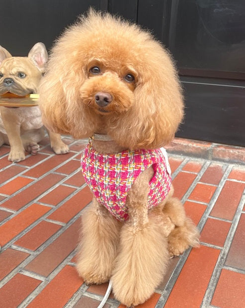Classic Tweed Harness