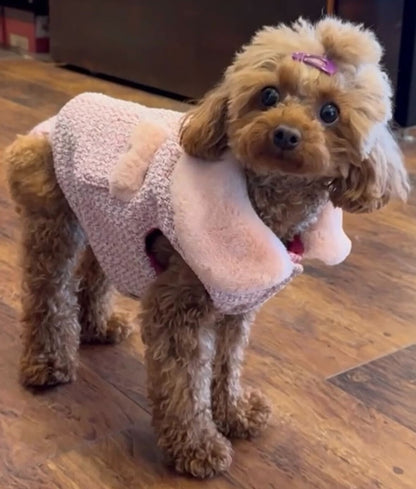 Chanel jacket