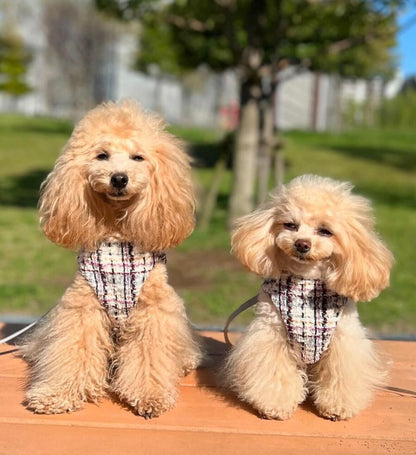 Classic chanel Harness