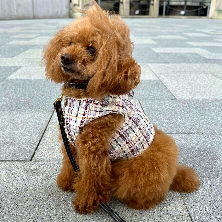 Lollipet ハーネス(lollipet) Classic chanel Harness ホワイト x