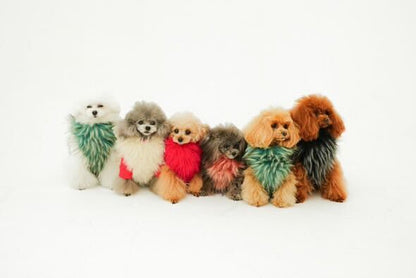 Classic Lupacchiotto Harness
