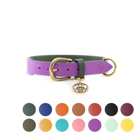 LEATHER DOG COLLAR