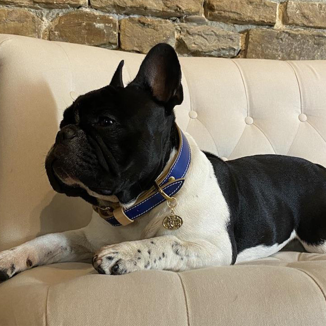LEATHER DOG COLLAR