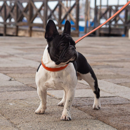 LEATHER DOG COLLAR