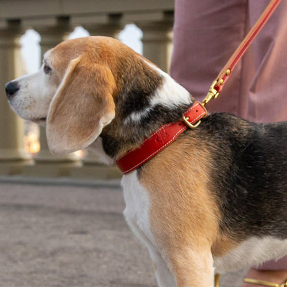 LEATHER DOG COLLAR