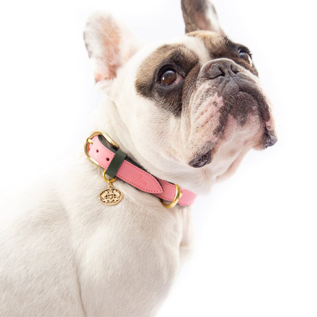 LEATHER DOG COLLAR