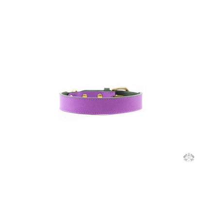LEATHER DOG COLLAR