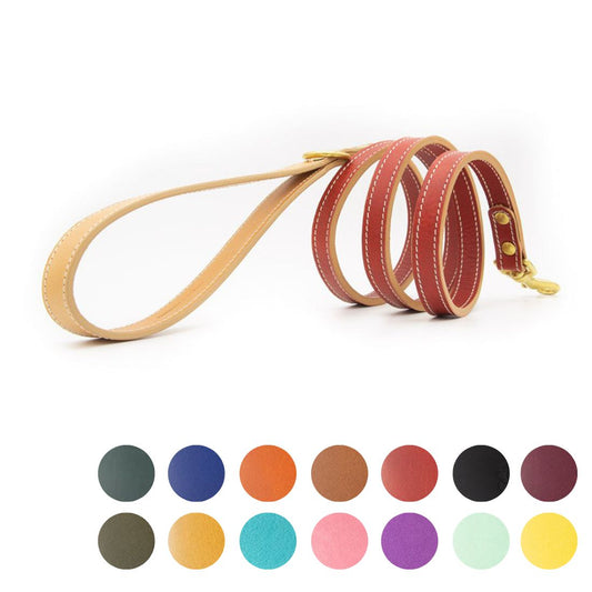 LEATHER DOG LEAD