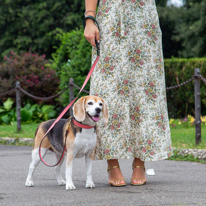 LEATHER DOG LEAD