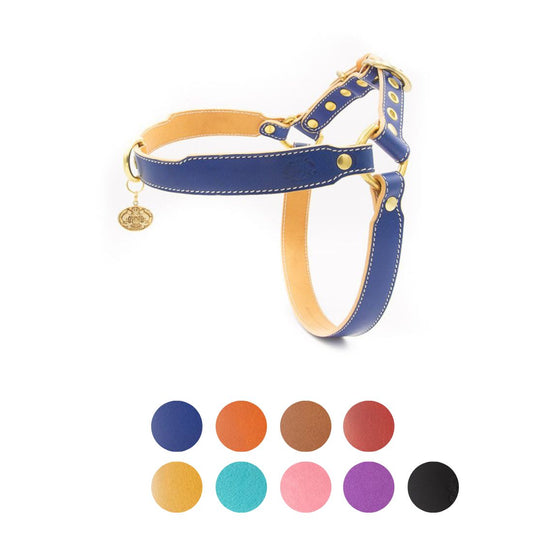LEATHER DOG HARNESS