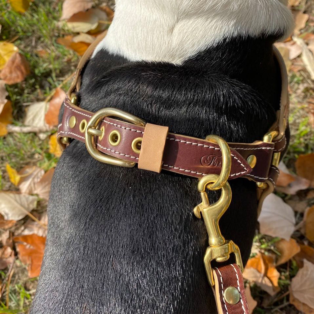 LEATHER DOG HARNESS