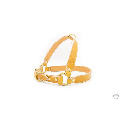 LEATHER DOG HARNESS