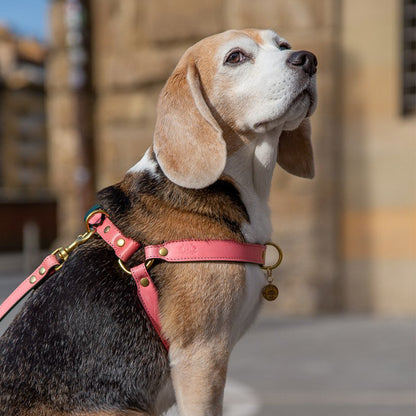 LEATHER DOG HARNESS