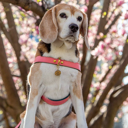 LEATHER DOG HARNESS