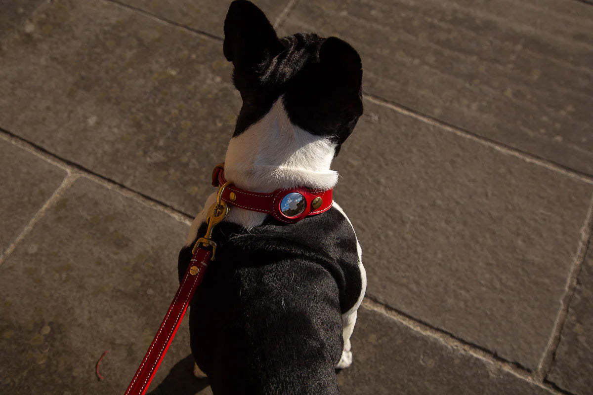 POPPY RED LEATHER DOG COLLAR - AIRTAG EDITION