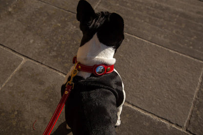 POPPY RED LEATHER DOG COLLAR - AIRTAG EDITION