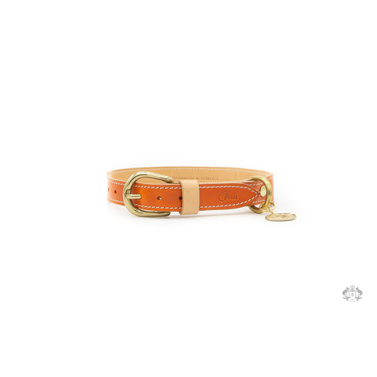 SUNSET ORANGE LEATHER DOG COLLAR