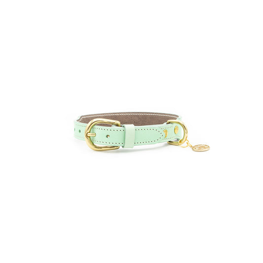 MINT GREEN LEATHER DOG COLLAR