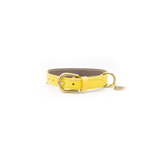 SORBET YELLOW LEATHER DOG COLLAR