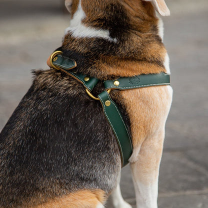CYPRESS GREEN LEATHER DOG HARNESS