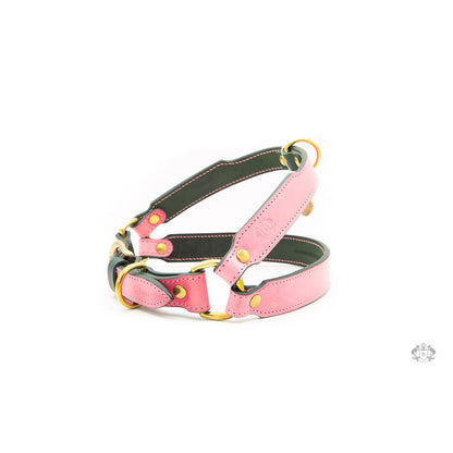 ROSES PINK LEATHER DOG HARNESS