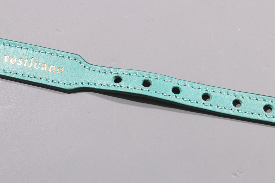 ACQUA TURQUOISE LEATHER DOG DOG COLLAR - AIRTAG EDITION